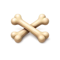Crossbones 3D icon