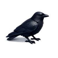 Crow 3D icon