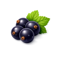 Currant 3D icon
