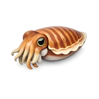 Cuttlefish 3D icon