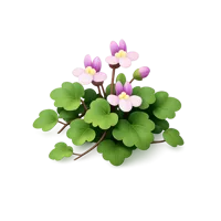 Cymbalaria 3D icon