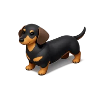 Dachshund 3D icon