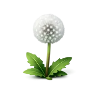 Dandelion 3D icon
