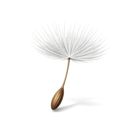 Dandelion Seed 3D icon