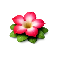 Desert Rose 3D icon
