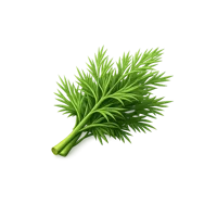 Dill 3D icon