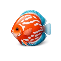 Discus Fish 3D icon