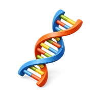 DNA Model 3D icon