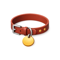Dog Collar 3D icon