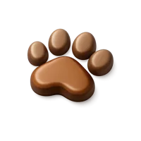 Dog Paw 3D icon