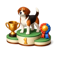 Dog Show 3D icon