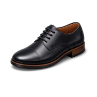 Dress Shoes 3D icon
