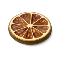 Dried Lime Slice 3D icon