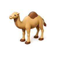 Dromedary Camel 3D icon