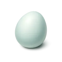 Duck Egg 3D icon