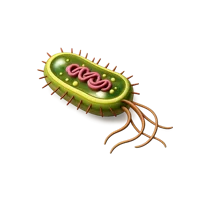 E. Coli 3D icon