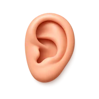 Ear 3D icon