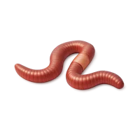 Earthworm 3D icon