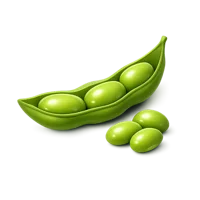 Edamame 3D icon