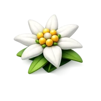 Edelweiss 3D icon