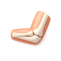 Elbow 3D icon