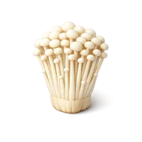 Enoki Mushroom 3D icon