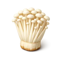 Enoki Mushrooms 3D icon