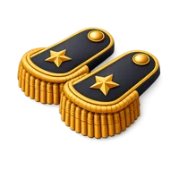 Epaulets 3D icon