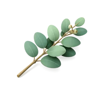 Eucalyptus Branch 3D icon