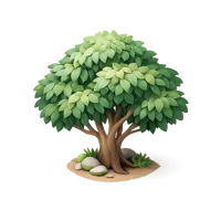 Eucalyptus Tree 3D icon