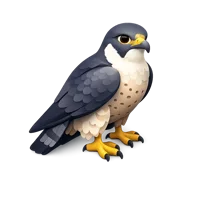 Falcon 3D icon