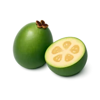 Feijoa 3D icon