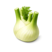 Fennel 3D icon