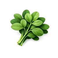 Fenugreek Leaves 3D icon