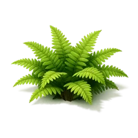 Fern 3D icon