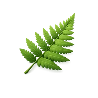 Fern Leaf 3D icon