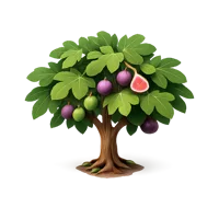 Fig Tree 3D icon
