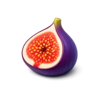 Fig 3D icon