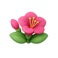 Four O'Clock Flower 3D icon