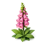 Foxglove 3D icon