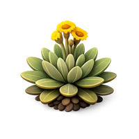 Frailejon Plant 3D icon