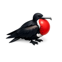 Frigatebird 3D icon