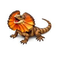 Frilled Lizard 3D icon