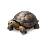 Galapagos Tortoise 3D icon