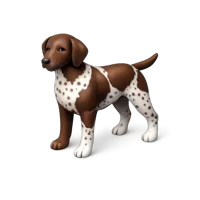 German Pointer 3D icon
