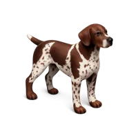 German Shorthaired Pointer 3D icon