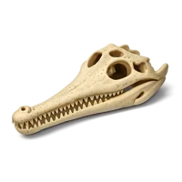 Gharial Skull 3D icon