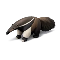 Giant Anteater 3D icon