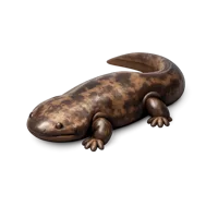 Giant Salamander 3D icon
