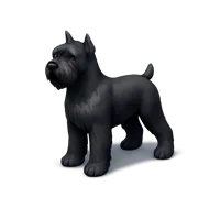 Giant Schnauzer 3D icon